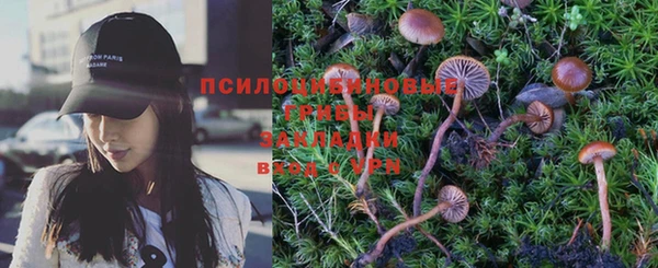 первитин Каменногорск