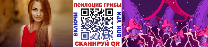 закладки  Великий Новгород  Псилоцибиновые грибы Magic Shrooms 