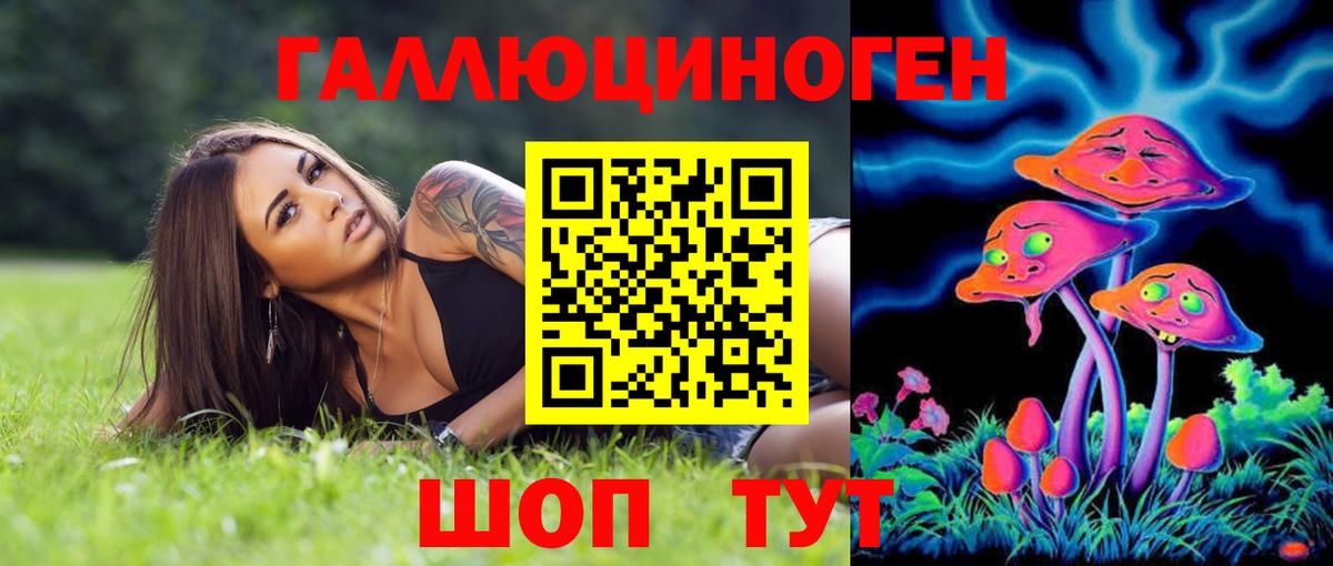 Псилоцибиновые грибы Psilocybine cubensis  Псилоцибиновые грибы прущие грибы  Великий Новгород 