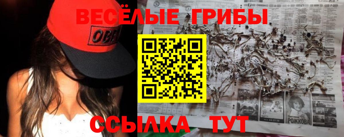 Галлюциногенные грибы мухоморы Великий Новгород