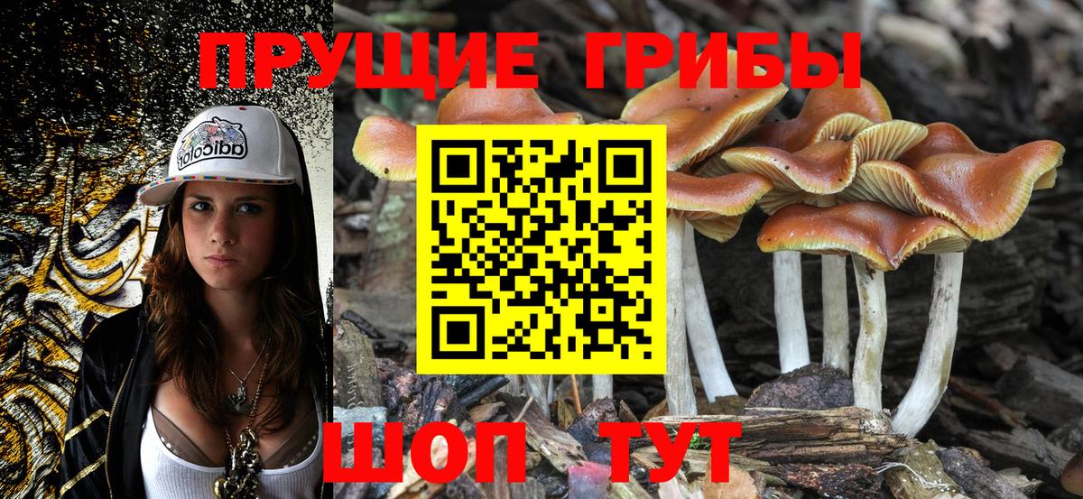 Галлюциногенные грибы MAGIC MUSHROOMS Великий Новгород